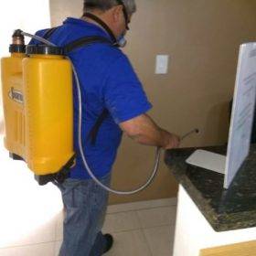 dedetização sempre 24h dedetização 24h em sua casa