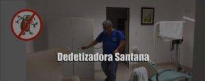pulverização dedetização dedetização proficional