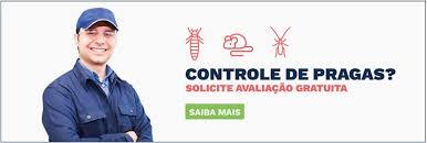 Dedetização de ratos sem sair / santana Dedetização de ratos sem sair / santana
