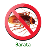 Dedetização Baratas Vila ede