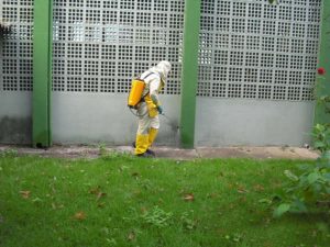 Empresa de Dedetização no Jardim Paulista