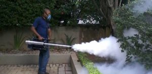 Mooca Dedetização de Cupim Mooca Dedetização de Cupim