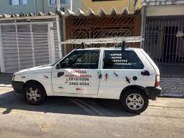 pulgas dedetização 3582-7900